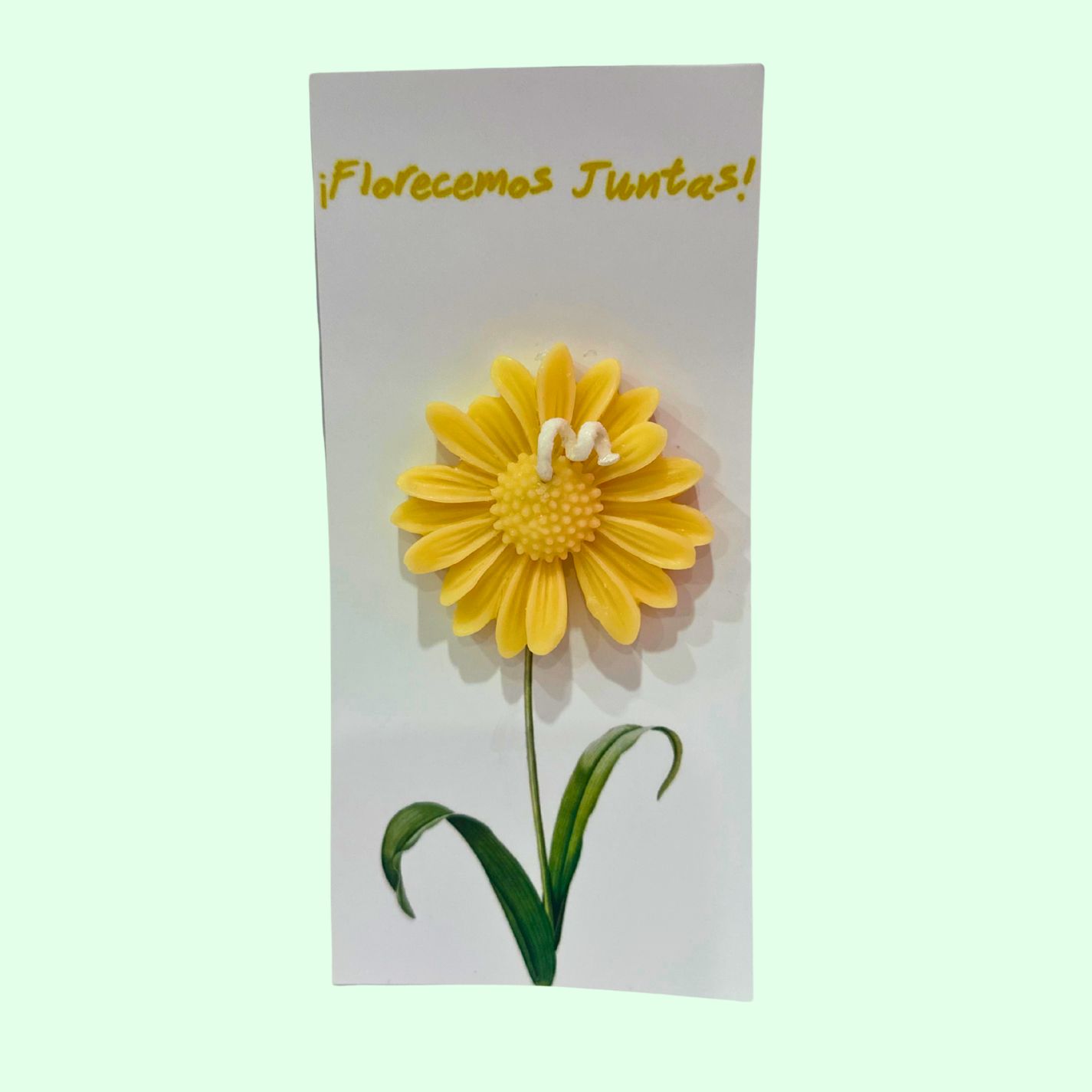 VELA FLOR 