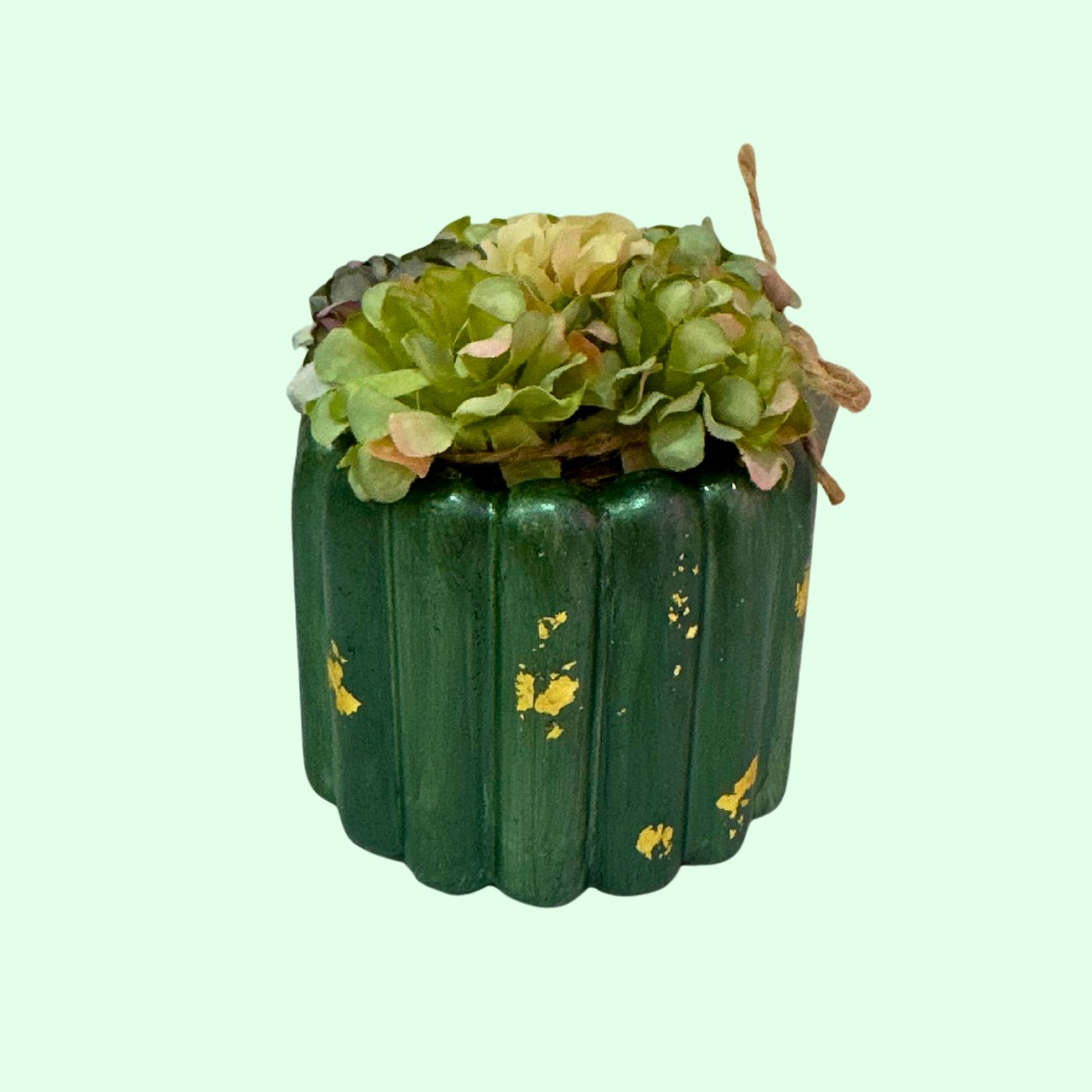 DECORACION PLANTAS