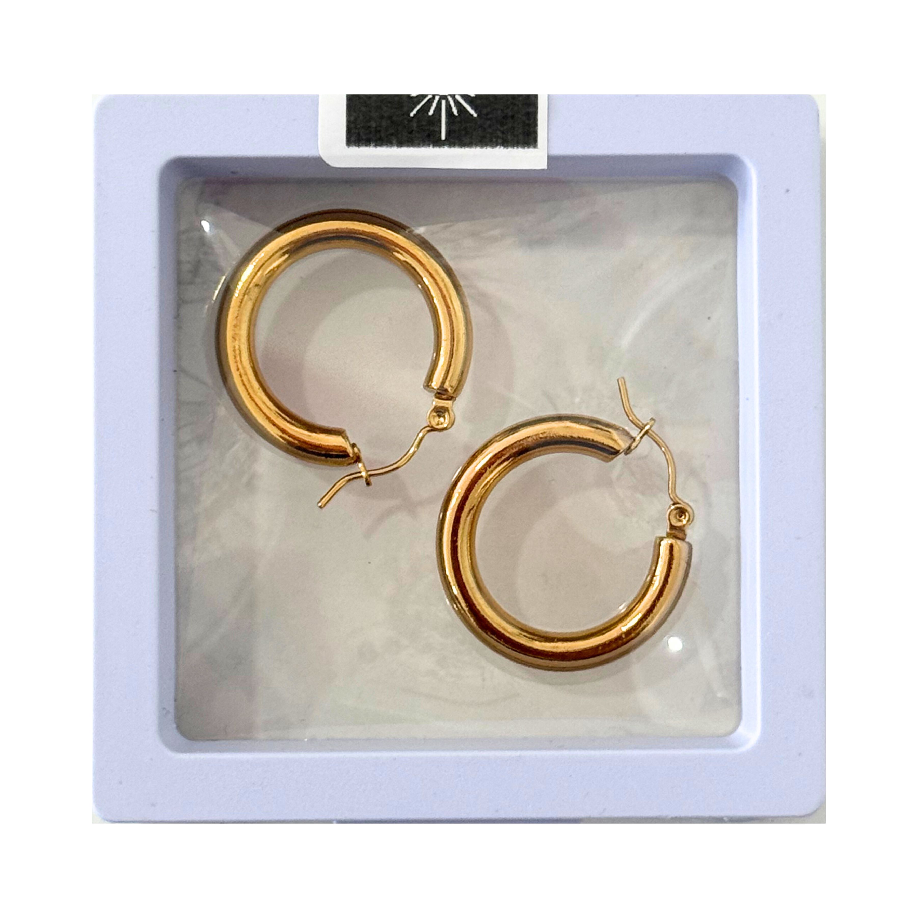 ARETES EMILY JEWERLY