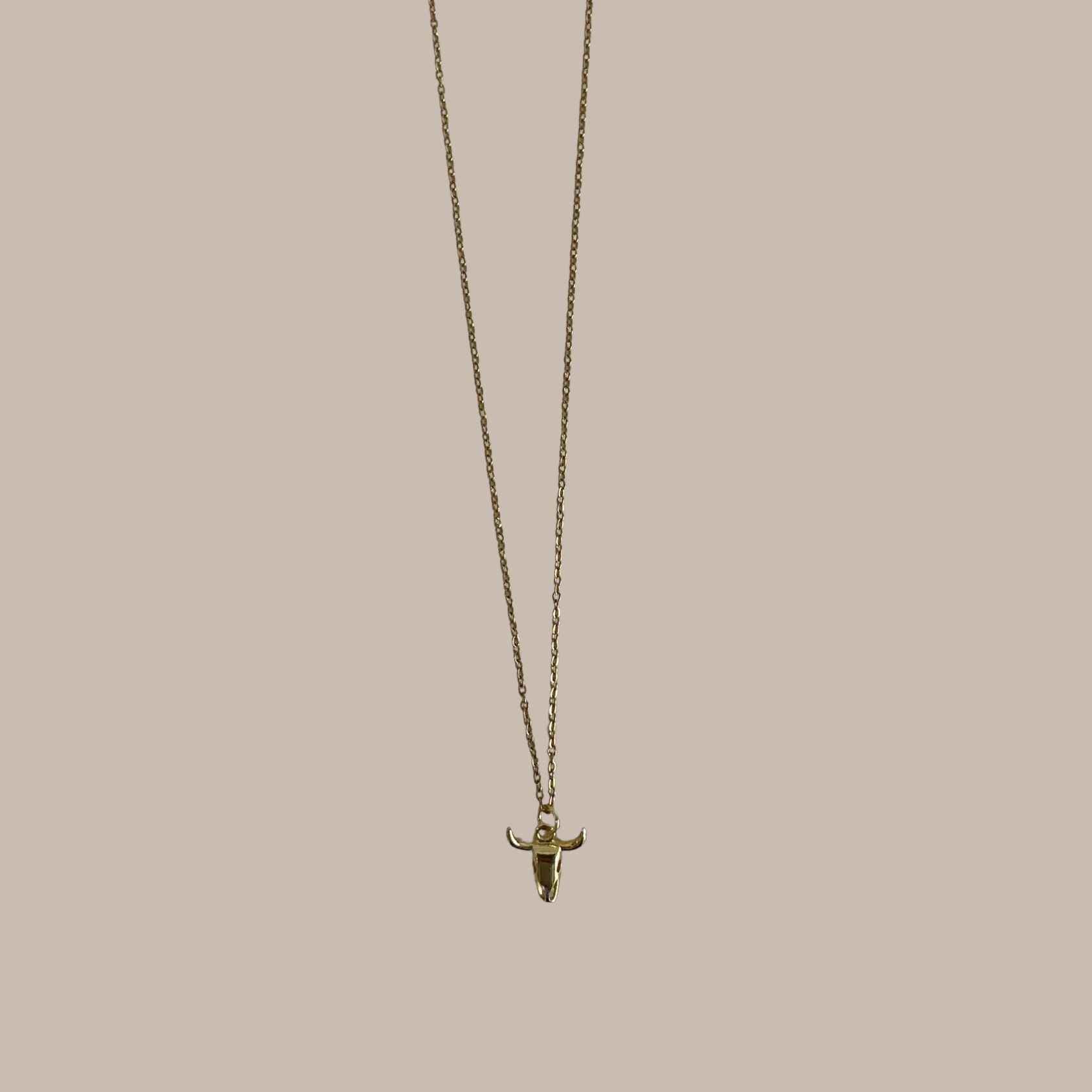 COLLAR DORADO TORO