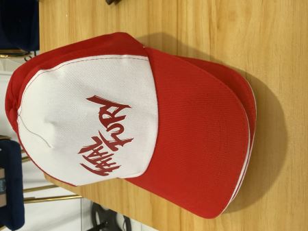 Gorra Fatal Fury